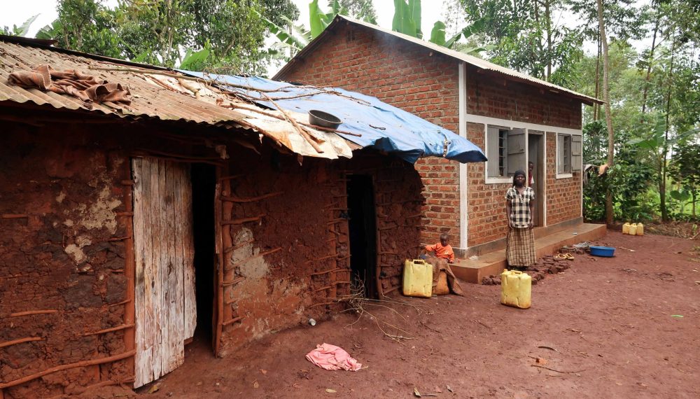 Grannies2GranniesFriesland